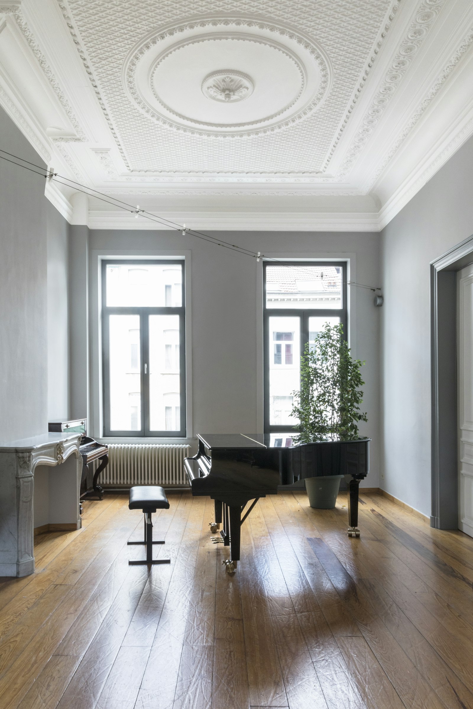 C's share / The Maison